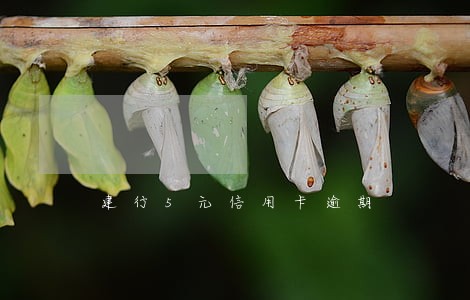 建行5元信用卡逾期