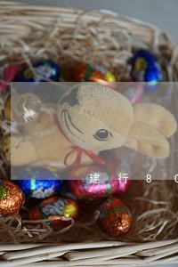 建行8000逾期15天 建行8000逾期15天