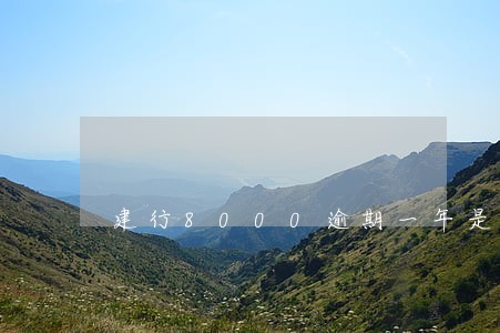 建行8000逾期一年是多少 建行8000逾期一年是多少