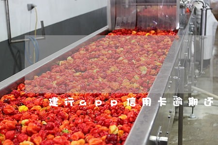 建行app信用卡逾期还款结清