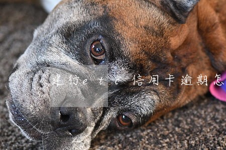 建行etc信用卡逾期怎么消掉