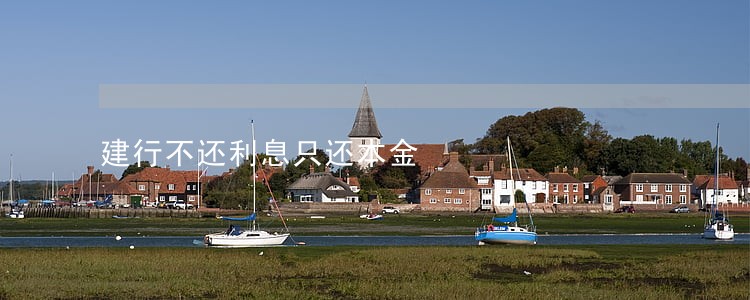建行不还利息只还本金