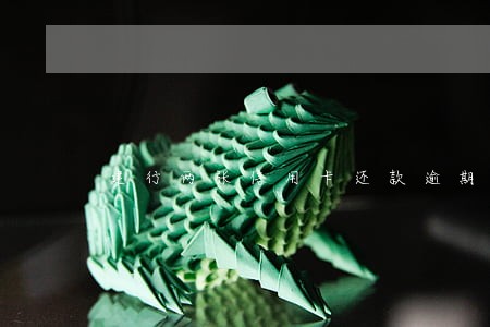 建行两张信用卡还款逾期一张