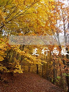 建行两张信用卡逾期一张降额