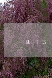 建行五一公积金贷款逾期后果 建行五一公积金贷款逾期后果