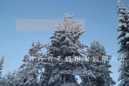 建行五千信用卡逾期六年多少 建行五千信用卡逾期六年多少