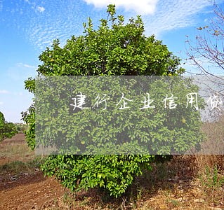 建行企业信用贷款逾期7天 建行企业信用贷款逾期7天
