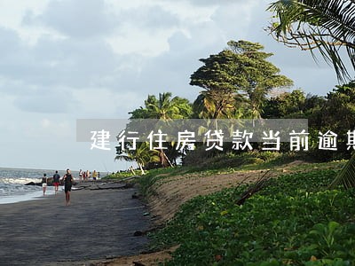 建行住房贷款当前逾期 建行住房贷款当前逾期