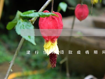 建行住房贷款疫情期间逾期 建行住房贷款疫情期间逾期