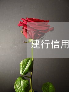 建行信用100元逾期了