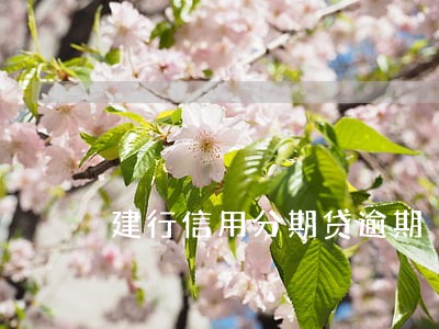 建行信用分期贷逾期 建行信用分期贷逾期