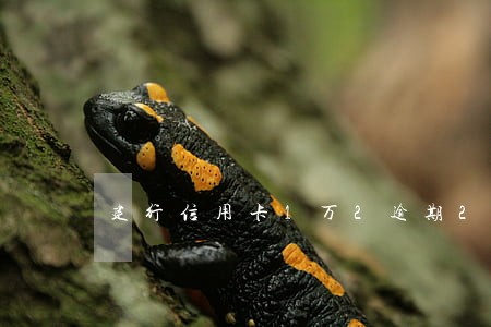 建行信用卡1万2逾期2百多天