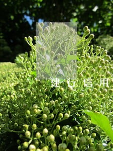 建行信用卡2000逾期2个月