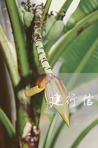 建行信用卡3000逾期了 建行信用卡3000逾期了