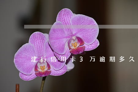 建行信用卡3万逾期多久会坐牢