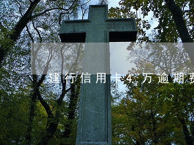 建行信用卡4万逾期费用