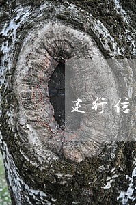 建行信用卡7万逾期三个月