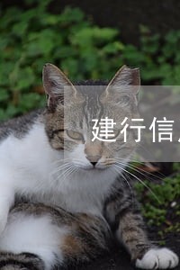 建行信用卡7元逾期两天 建行信用卡7元逾期两天