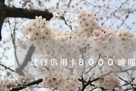 建行信用卡8000逾期6年 建行信用卡8000逾期6年