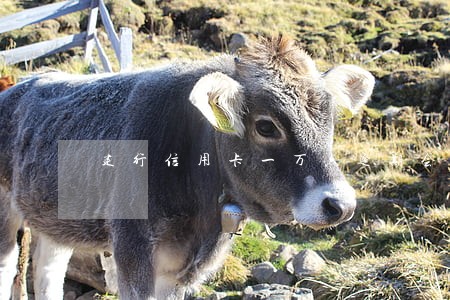 建行信用卡一万六逾期会怎么样 建行信用卡一万六逾期会怎么样