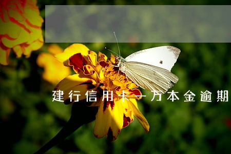建行信用卡一万本金逾期三年 建行信用卡一万本金逾期三年