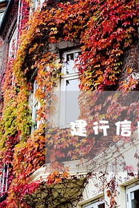 建行信用卡一般拖几天算逾期 建行信用卡一般拖几天算逾期