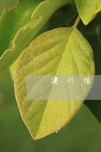建行信用卡一逾期就上征信吗 建行信用卡一逾期就上征信吗