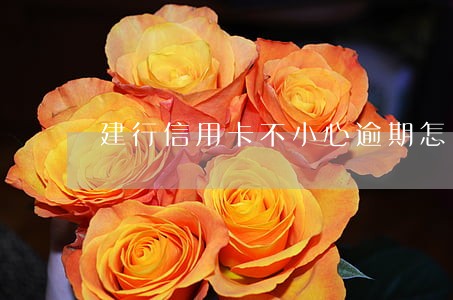 建行信用卡不小心逾期怎么解决 建行信用卡不小心逾期怎么解决