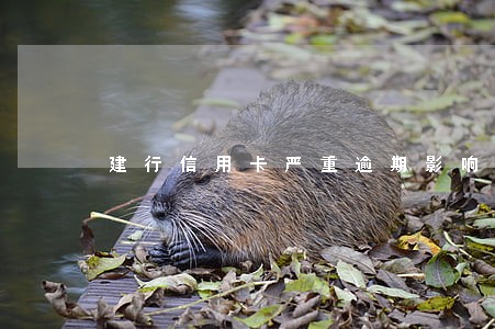 建行信用卡严重逾期影响办储蓄卡 建行信用卡严重逾期影响办储蓄卡