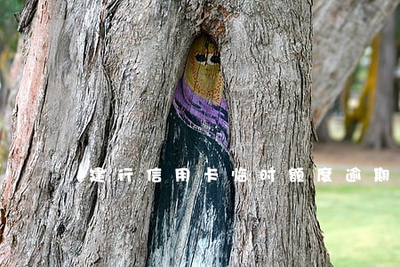建行信用卡临时额度逾期3天 建行信用卡临时额度逾期3天