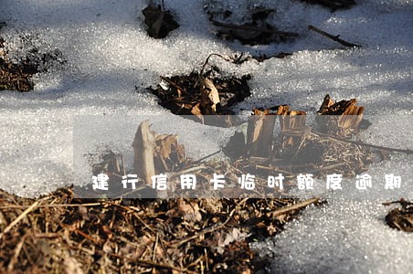 建行信用卡临时额度逾期一日