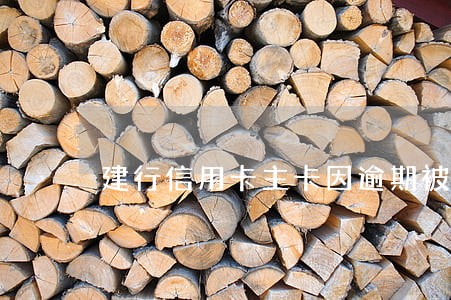 建行信用卡主卡因逾期被冻结 建行信用卡主卡因逾期被冻结