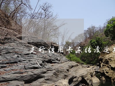 建行信用卡冻结没逾期