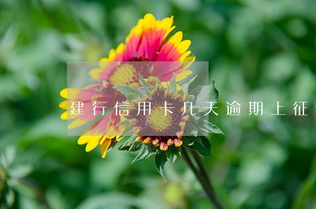 建行信用卡几天逾期上征信 建行信用卡几天逾期上征信