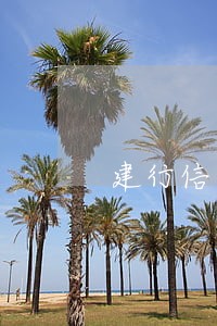 建行信用卡分期通逾期 建行信用卡分期通逾期