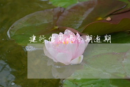 建行信用卡分期逾期 建行信用卡分期逾期