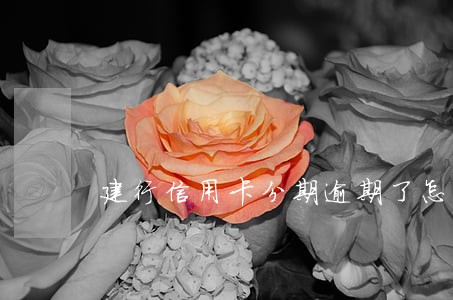 建行信用卡分期逾期了怎么办