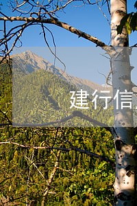 建行信用卡可以逾期几天还款 建行信用卡可以逾期几天还款