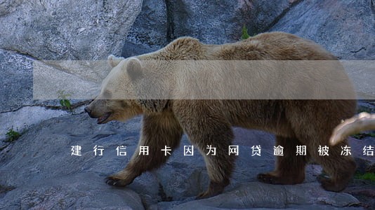建行信用卡因为网贷逾期被冻结了 建行信用卡因为网贷逾期被冻结了