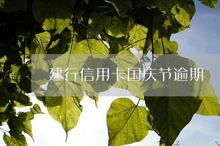 建行信用卡国庆节逾期 建行信用卡国庆节逾期