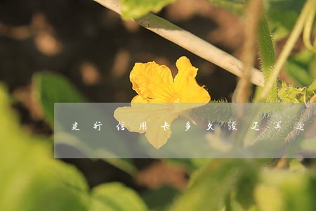 建行信用卡多久没还算逾期 建行信用卡多久没还算逾期