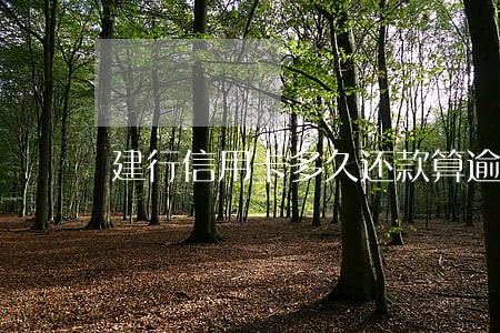 建行信用卡多久还款算逾期 建行信用卡多久还款算逾期
