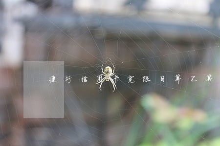 建行信用卡宽限日算不算逾期