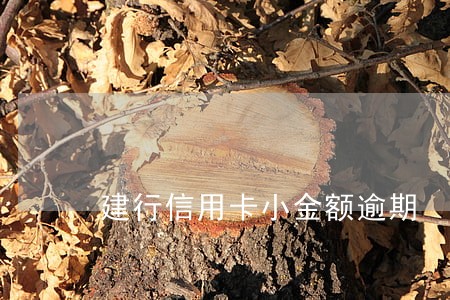 建行信用卡小金额逾期 建行信用卡小金额逾期
