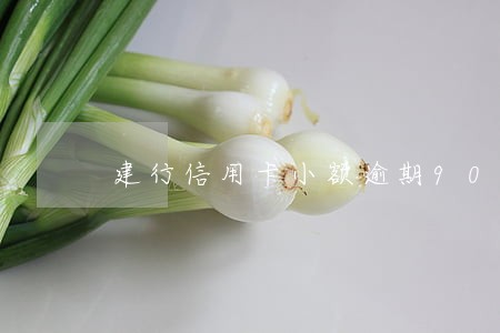 建行信用卡小额逾期90天