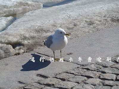 建行信用卡年费逾期产生利息吗 建行信用卡年费逾期产生利息吗
