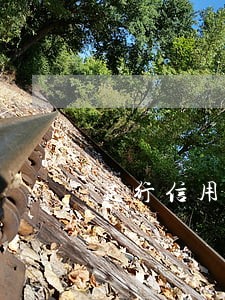 建行信用卡年费逾期信用卡吗