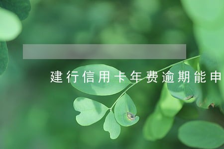 建行信用卡年费逾期能申请异议吗 建行信用卡年费逾期能申请异议吗