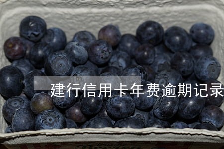建行信用卡年费逾期记录怎么撤销 建行信用卡年费逾期记录怎么撤销