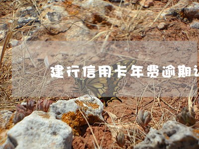 建行信用卡年费逾期证明 建行信用卡年费逾期证明